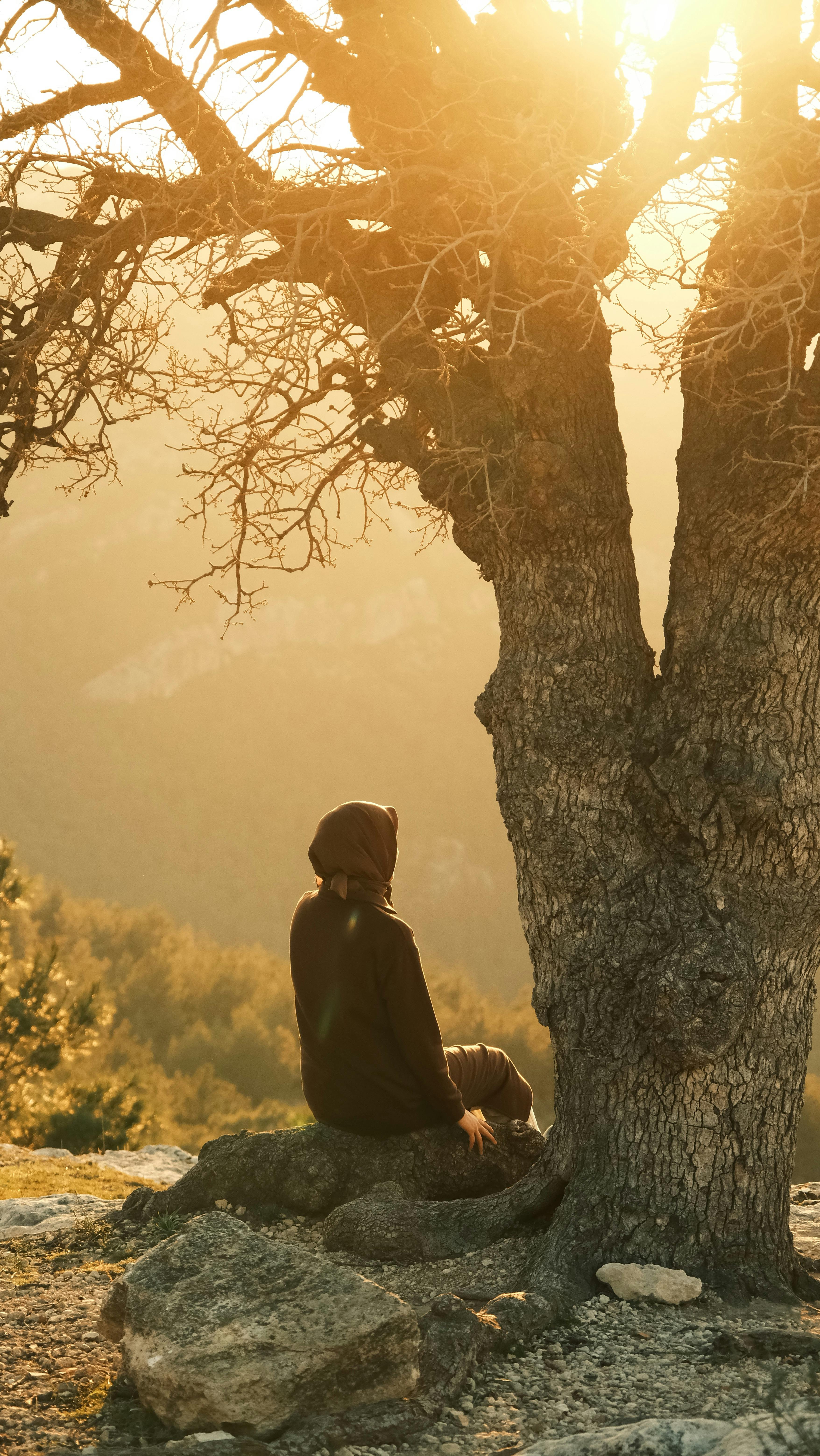How Does Mindfulness and Meditation Help with Patience?